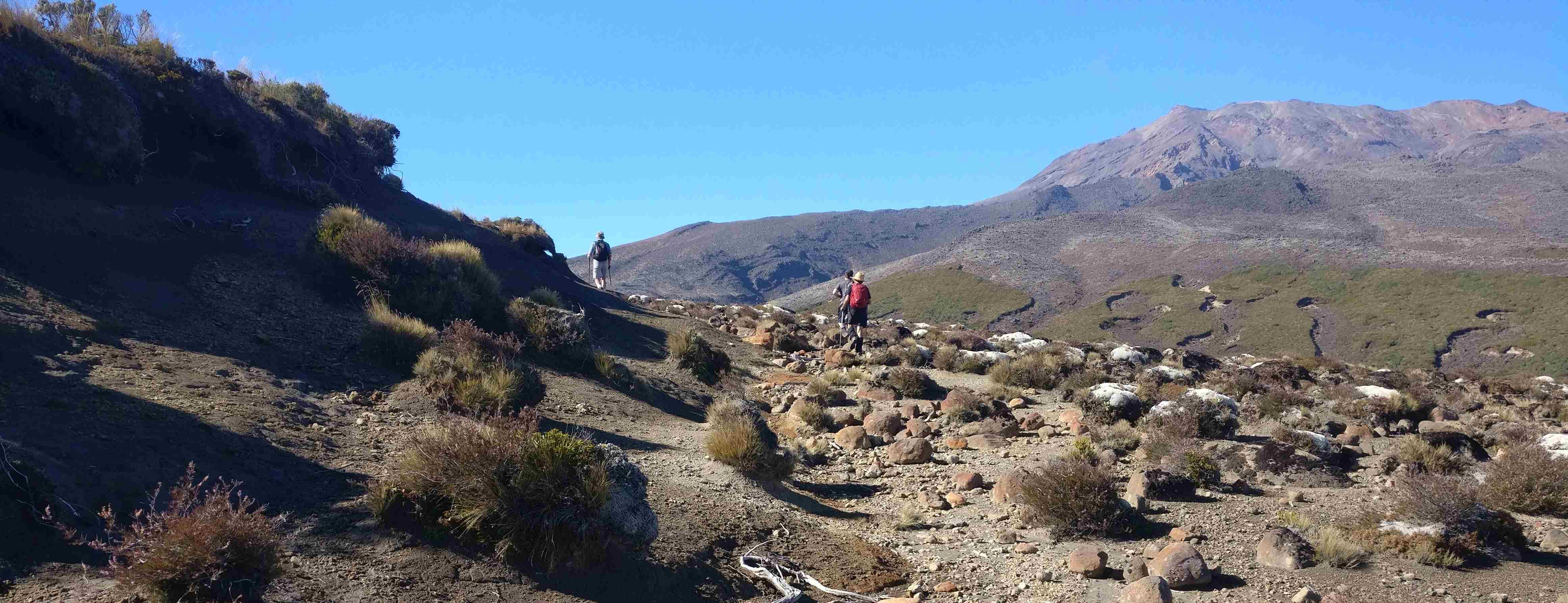 Trampers on a volcanic desert track with a mountain view, Tongariro area